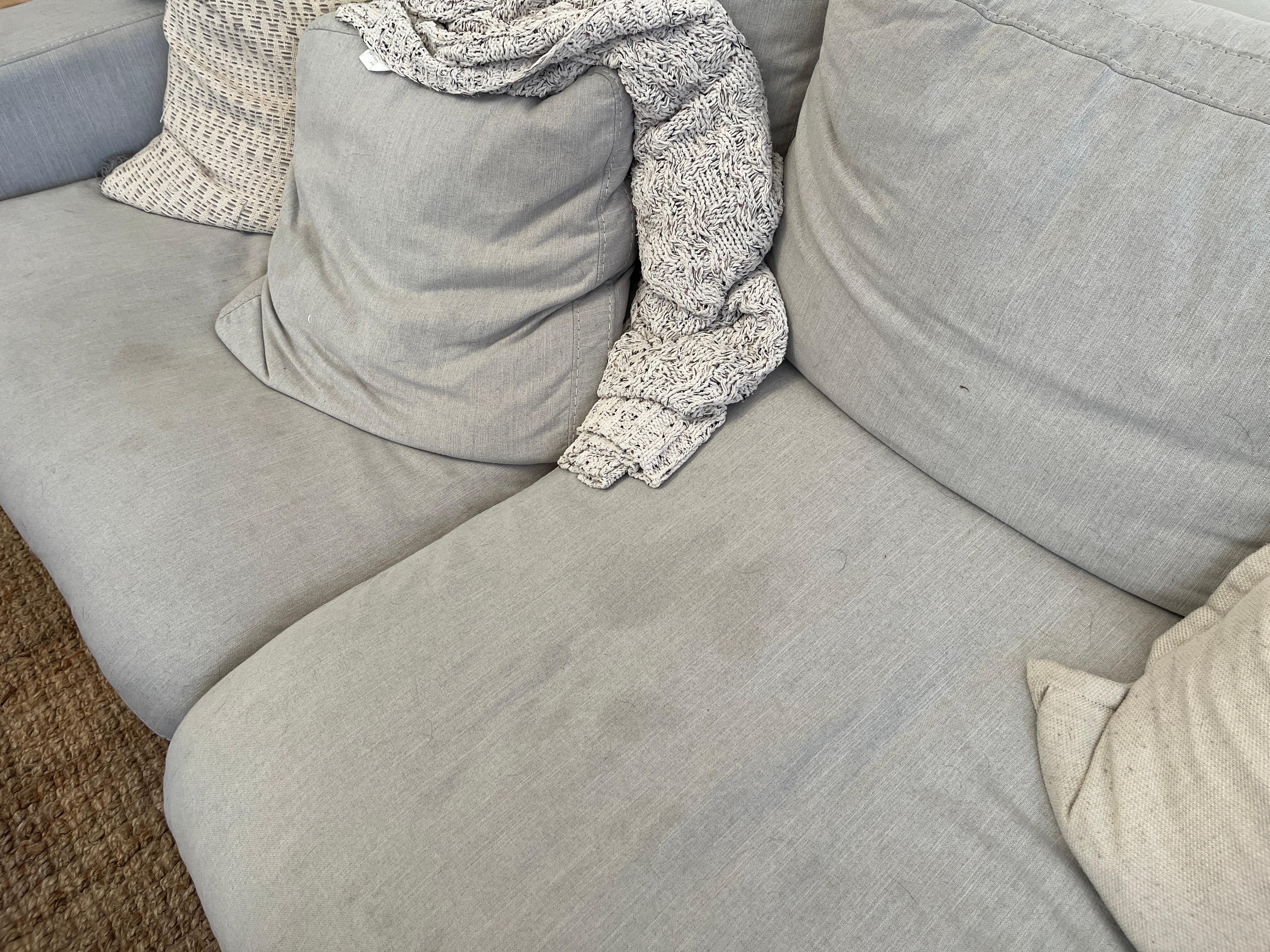 Living room furniture with stains and dog hair