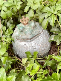 Welcome to the garden