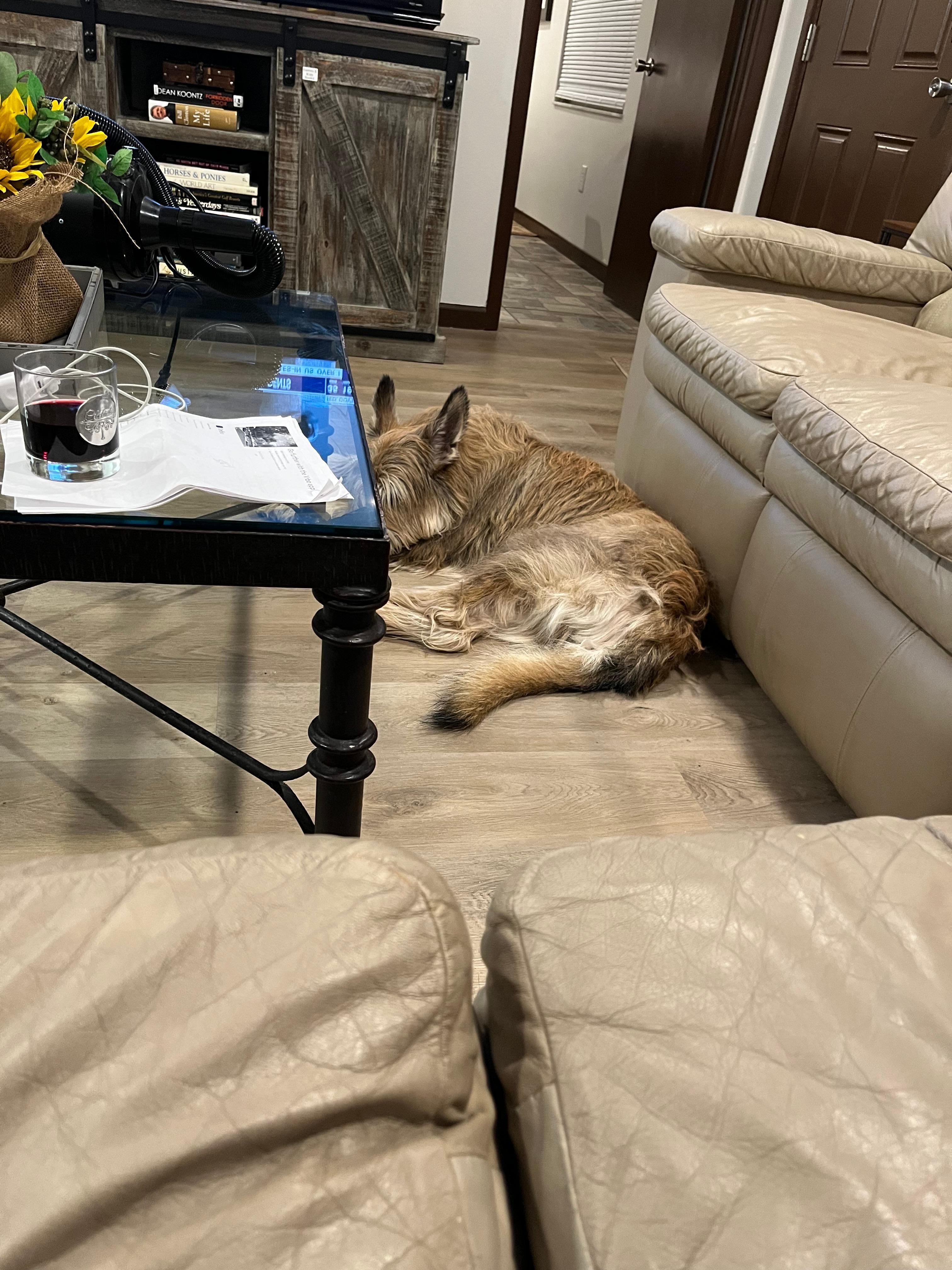 Living room at night 