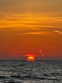 Amazing sunsets
