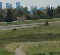 View of Calgary from Nose Hill Park (15 min walk)