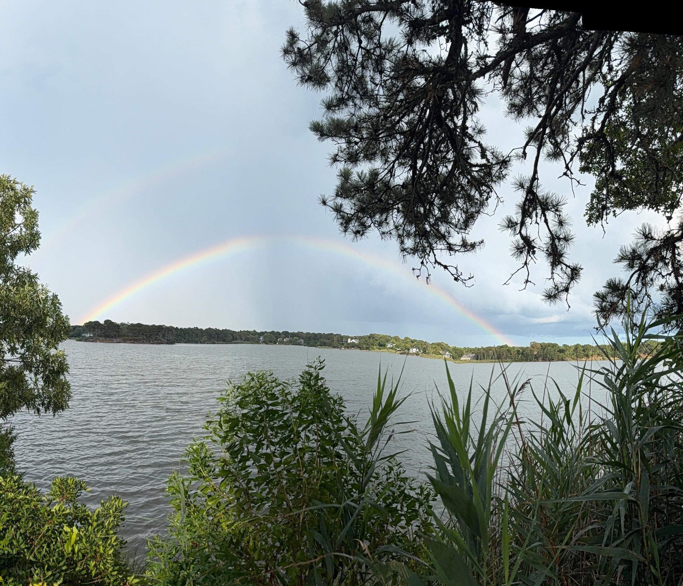 the rainbow after the storm