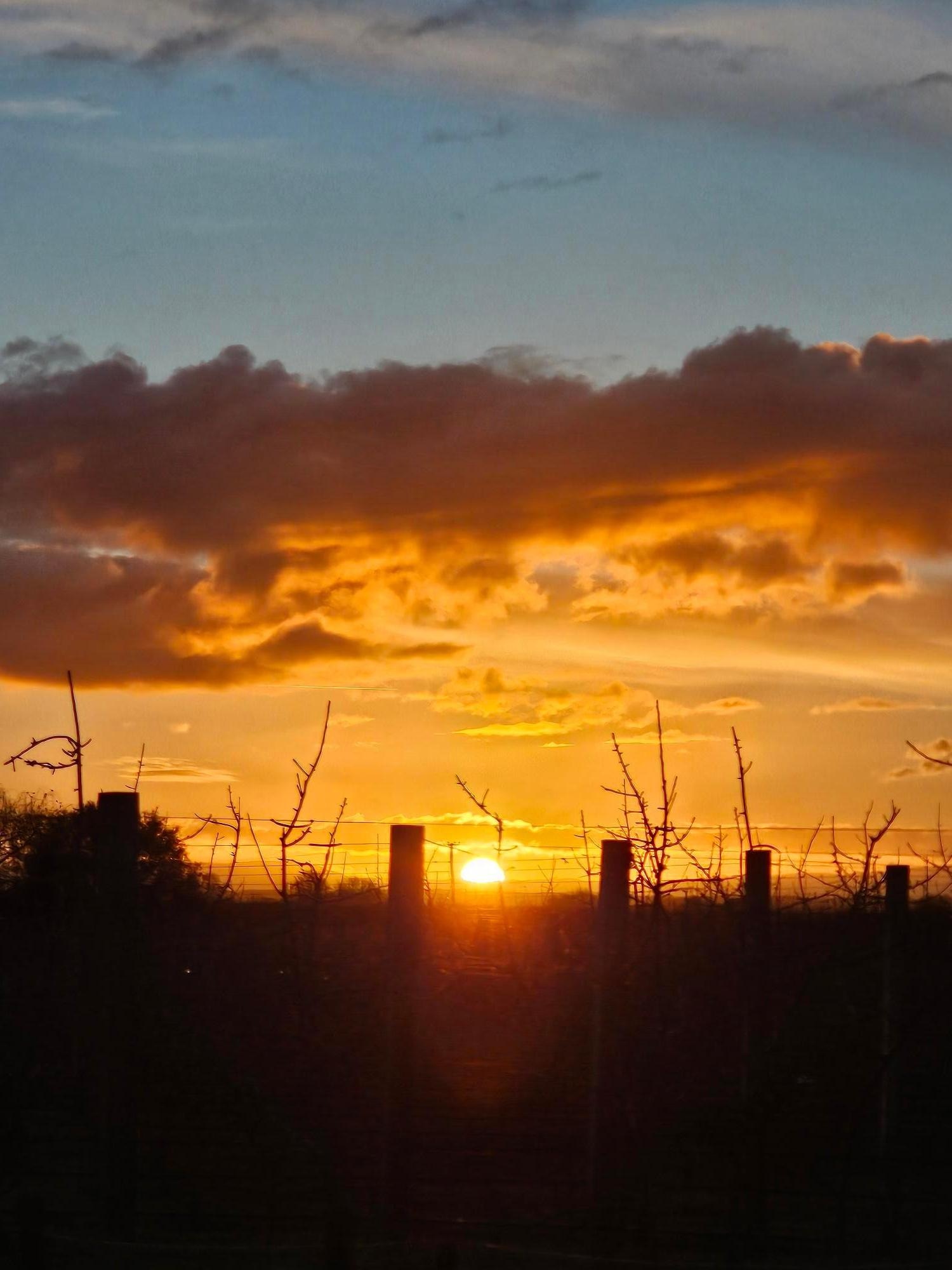 Sunset at Bluebell