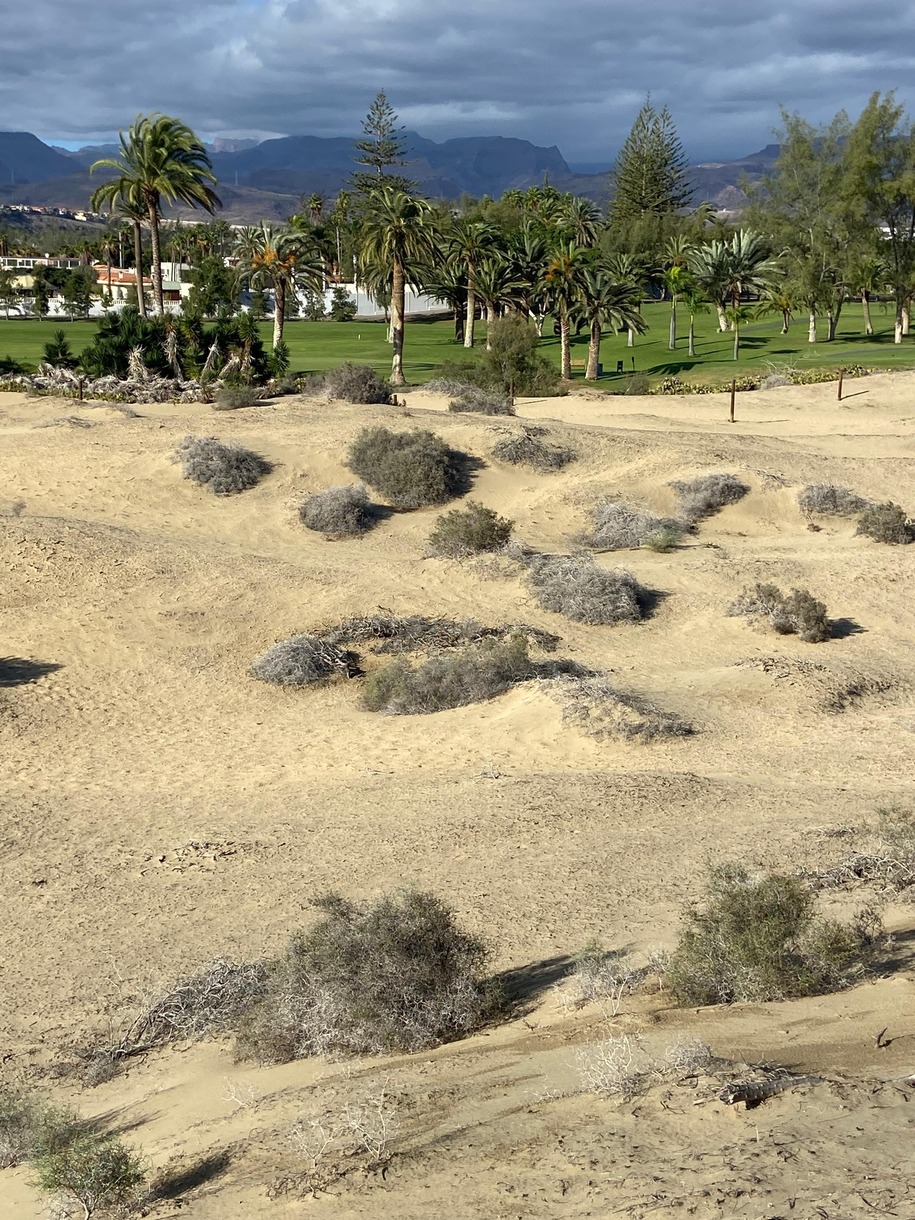 Gorgeous sites near hotel 