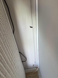 Wall panels falling off in bunk bedroom