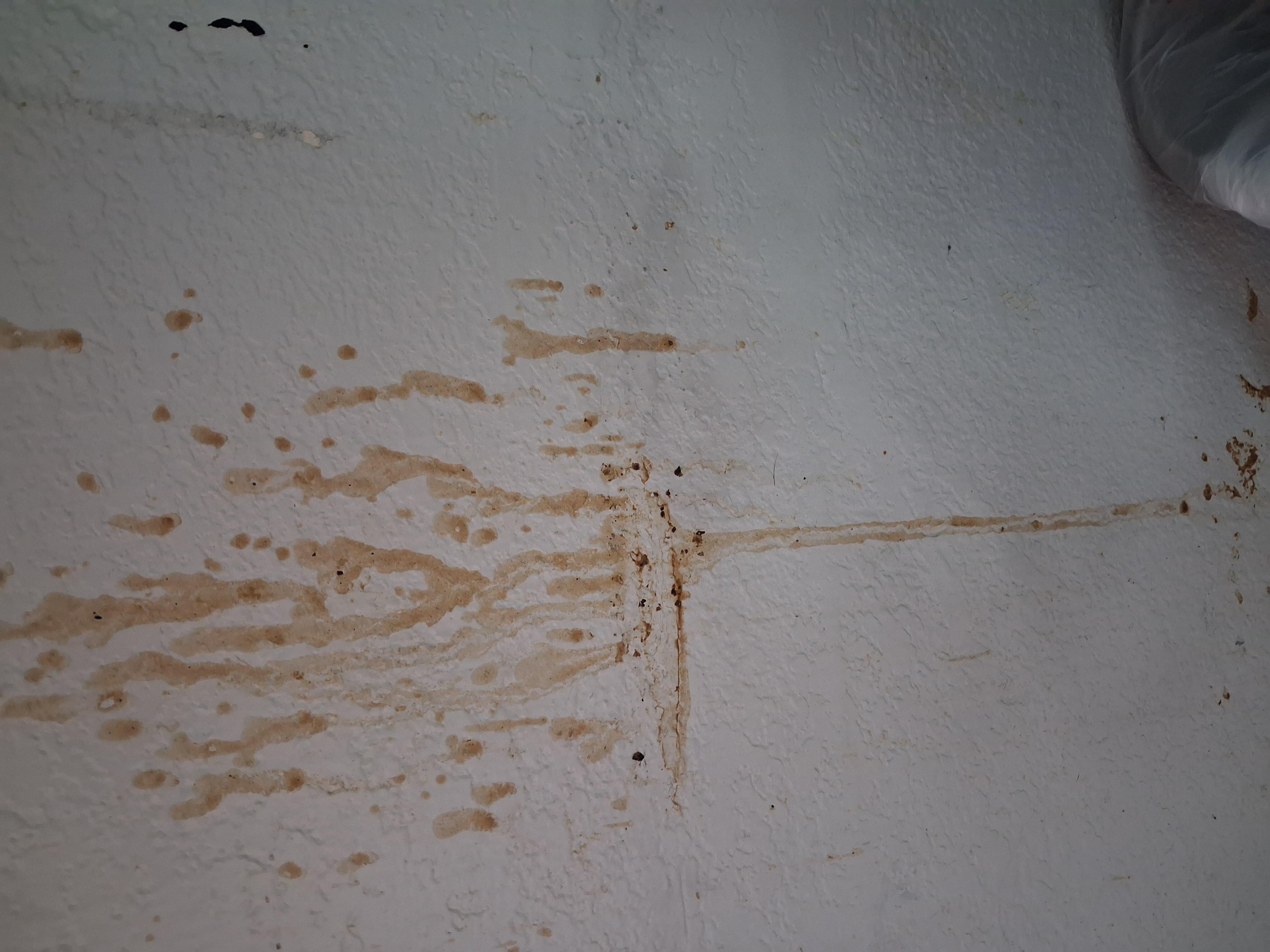 Dripping down wall