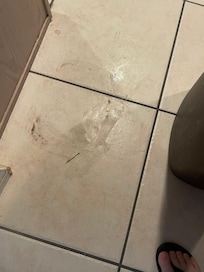 The trashcan was never moved for cleaning and had gunk underneath