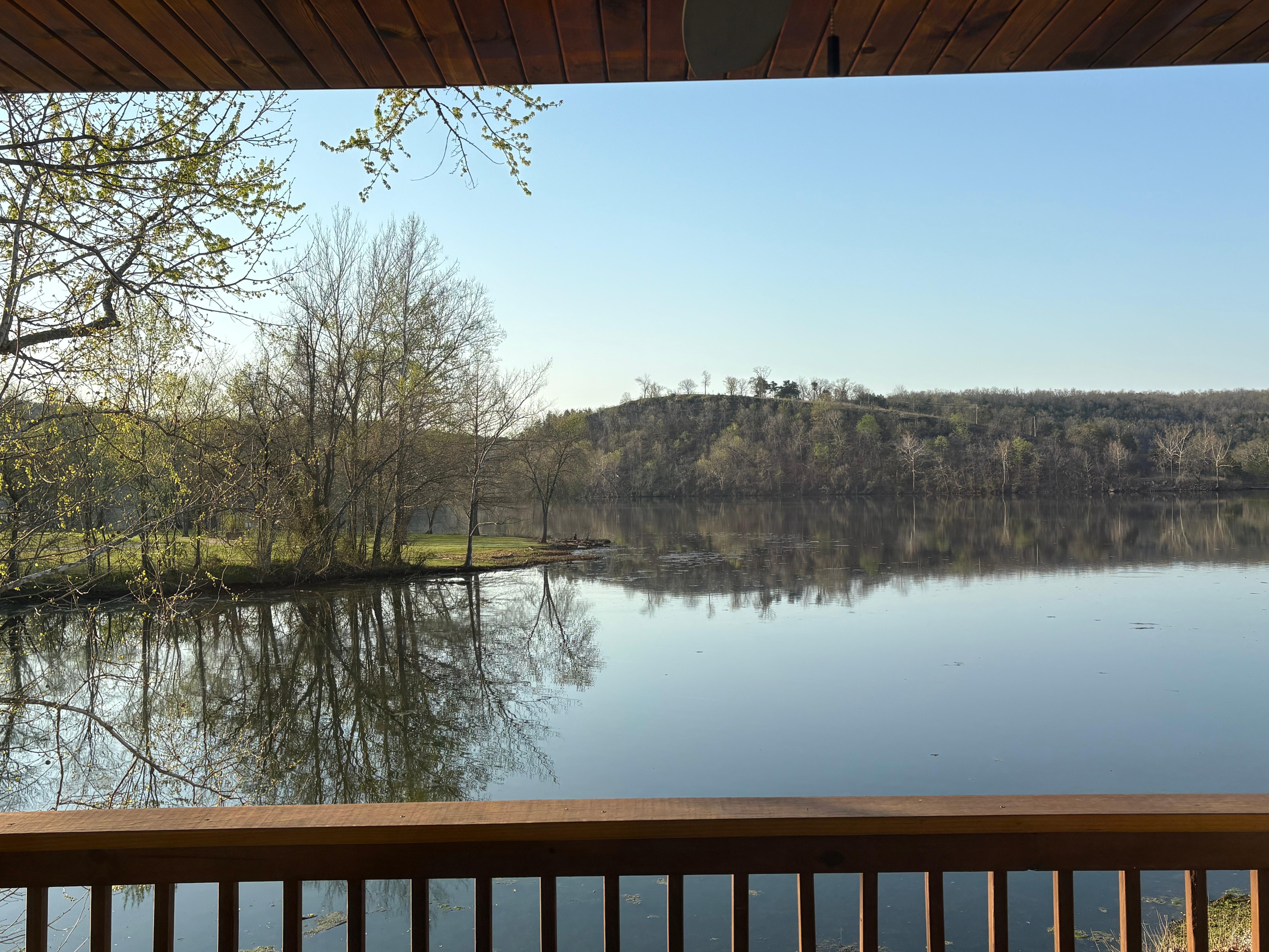 View from the back door