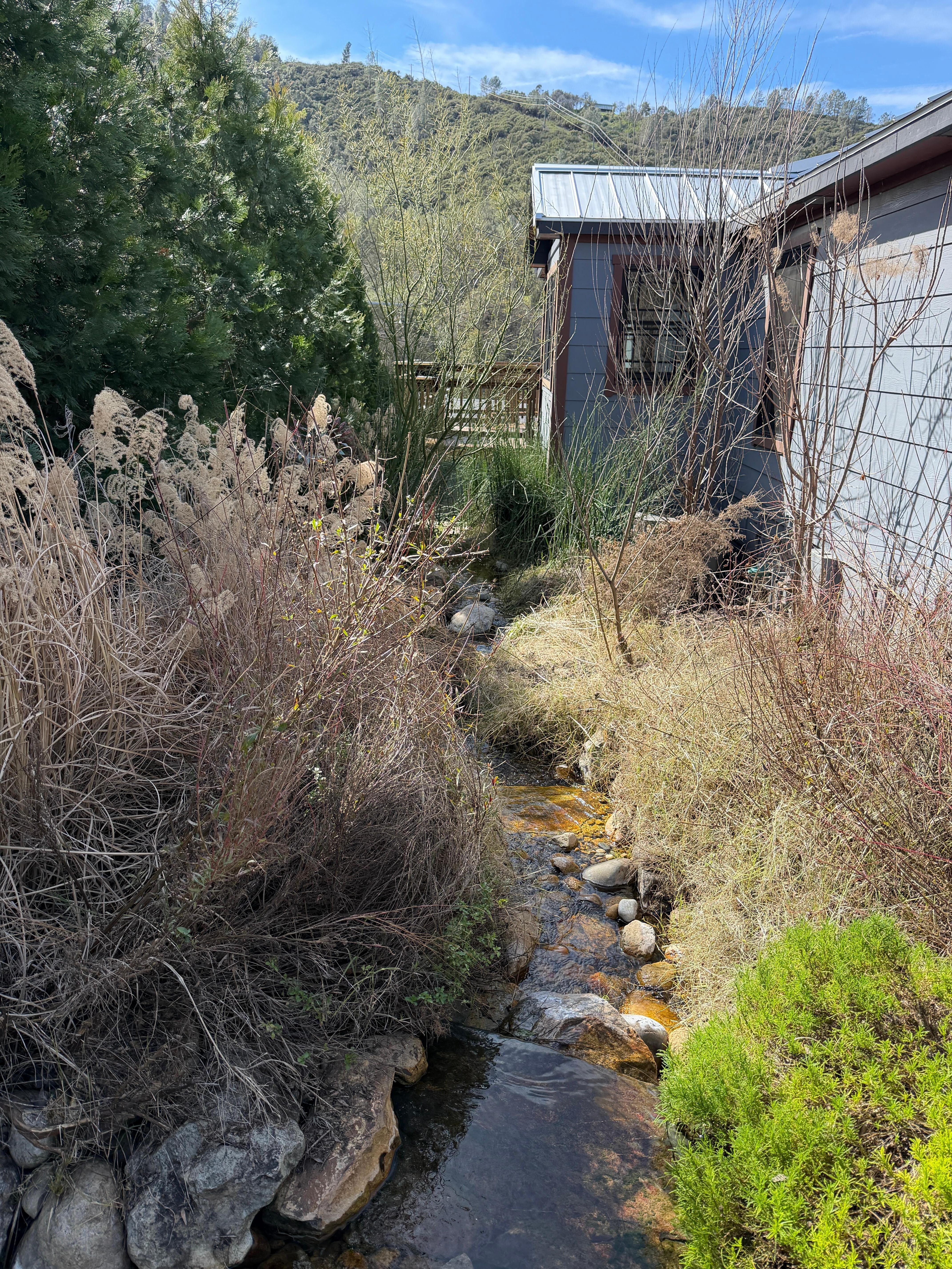 Beautiful lil water stream so relaxing while having a cup of coffee 