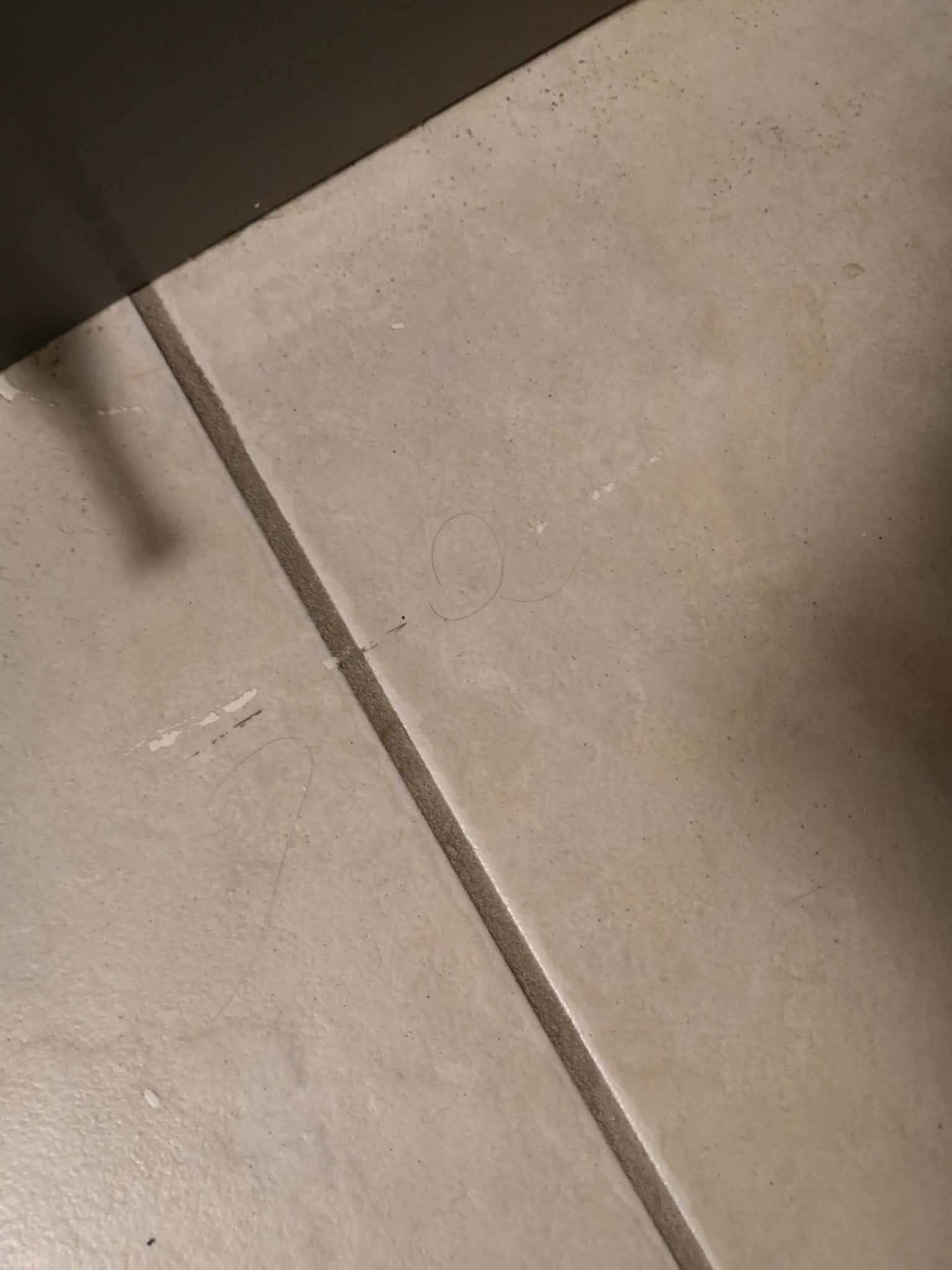 Hair on the bathroom floor in the first room