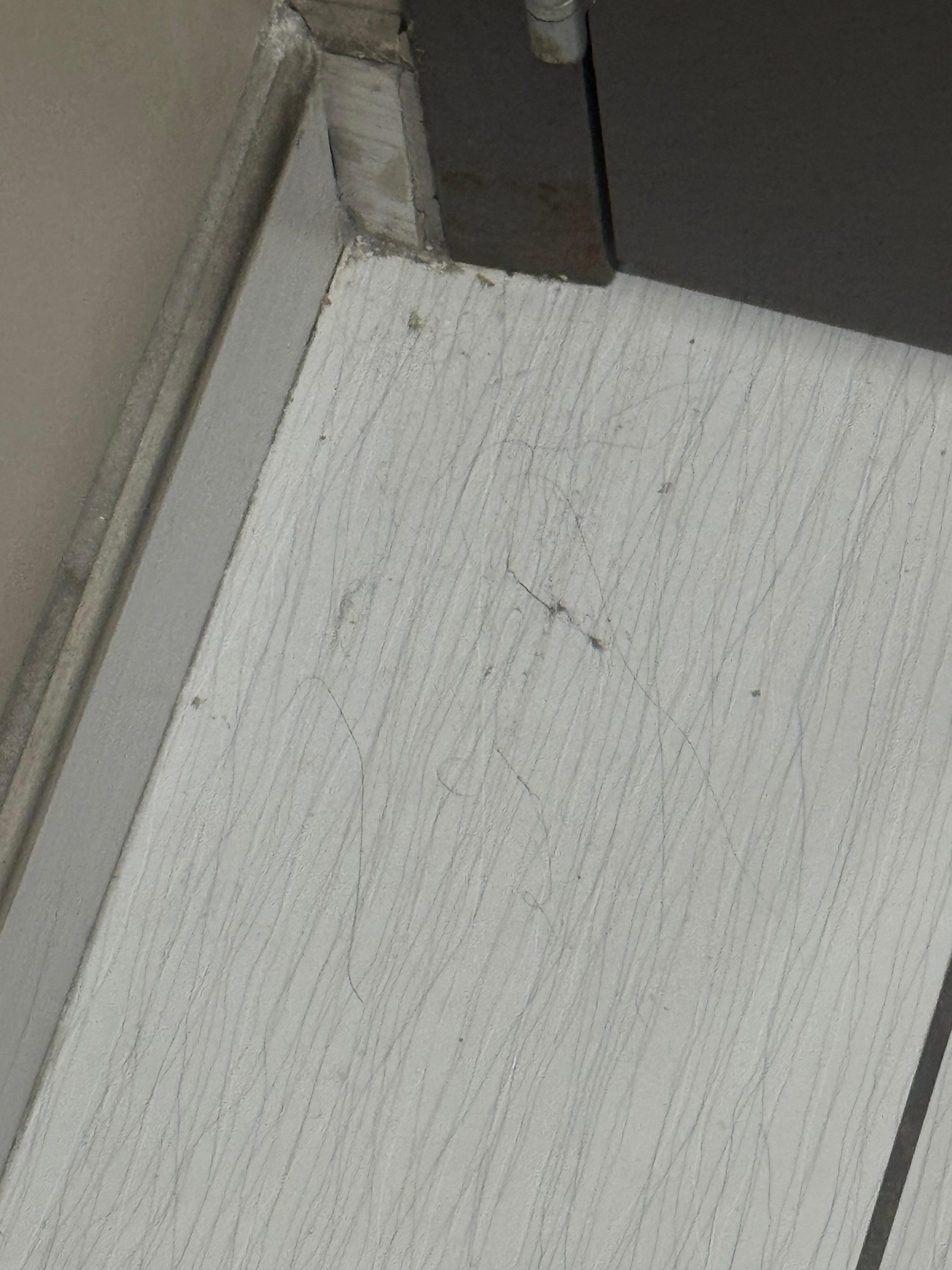 Bathroom floors were covered in dirt.