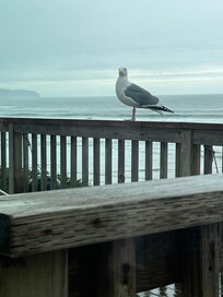 A friend checked in with us to make sure all was well