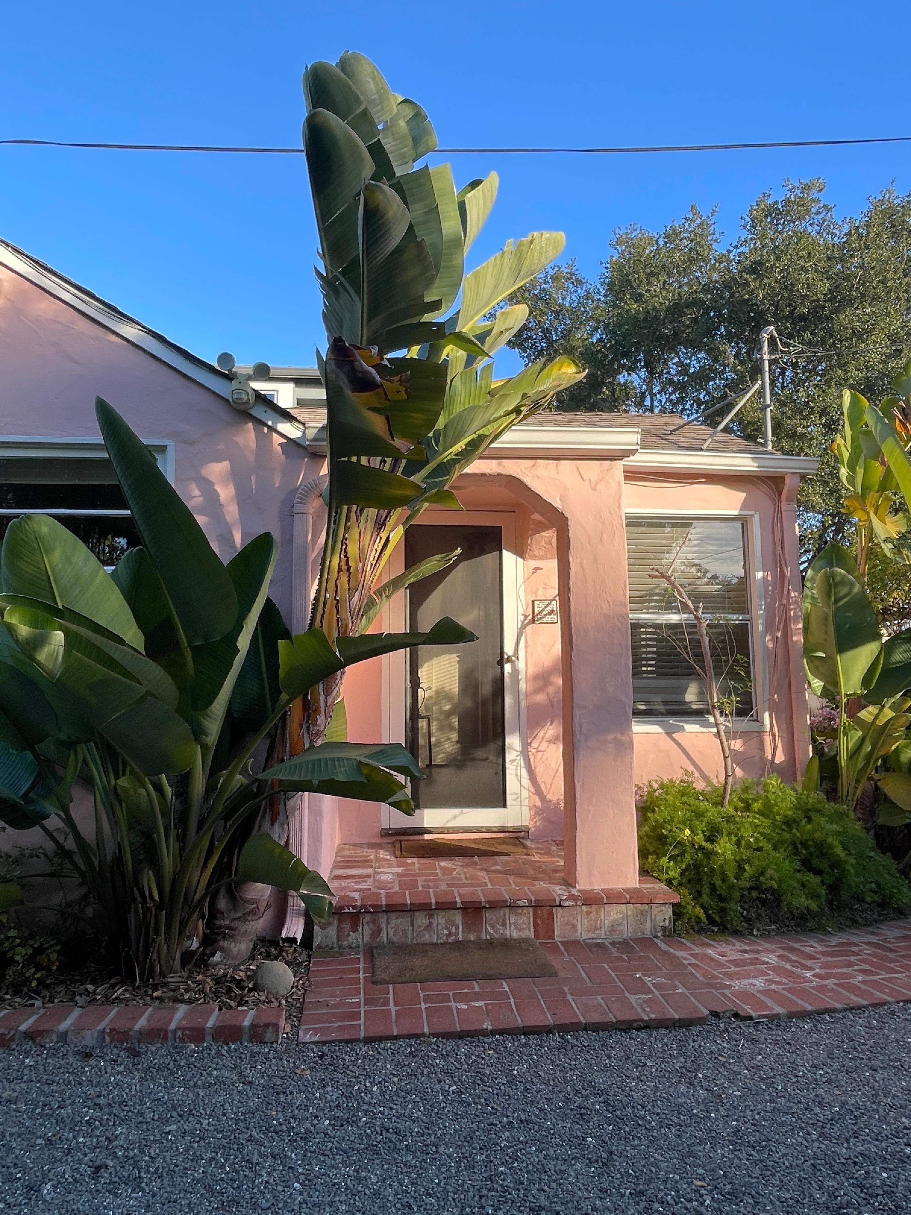 The house and its flora