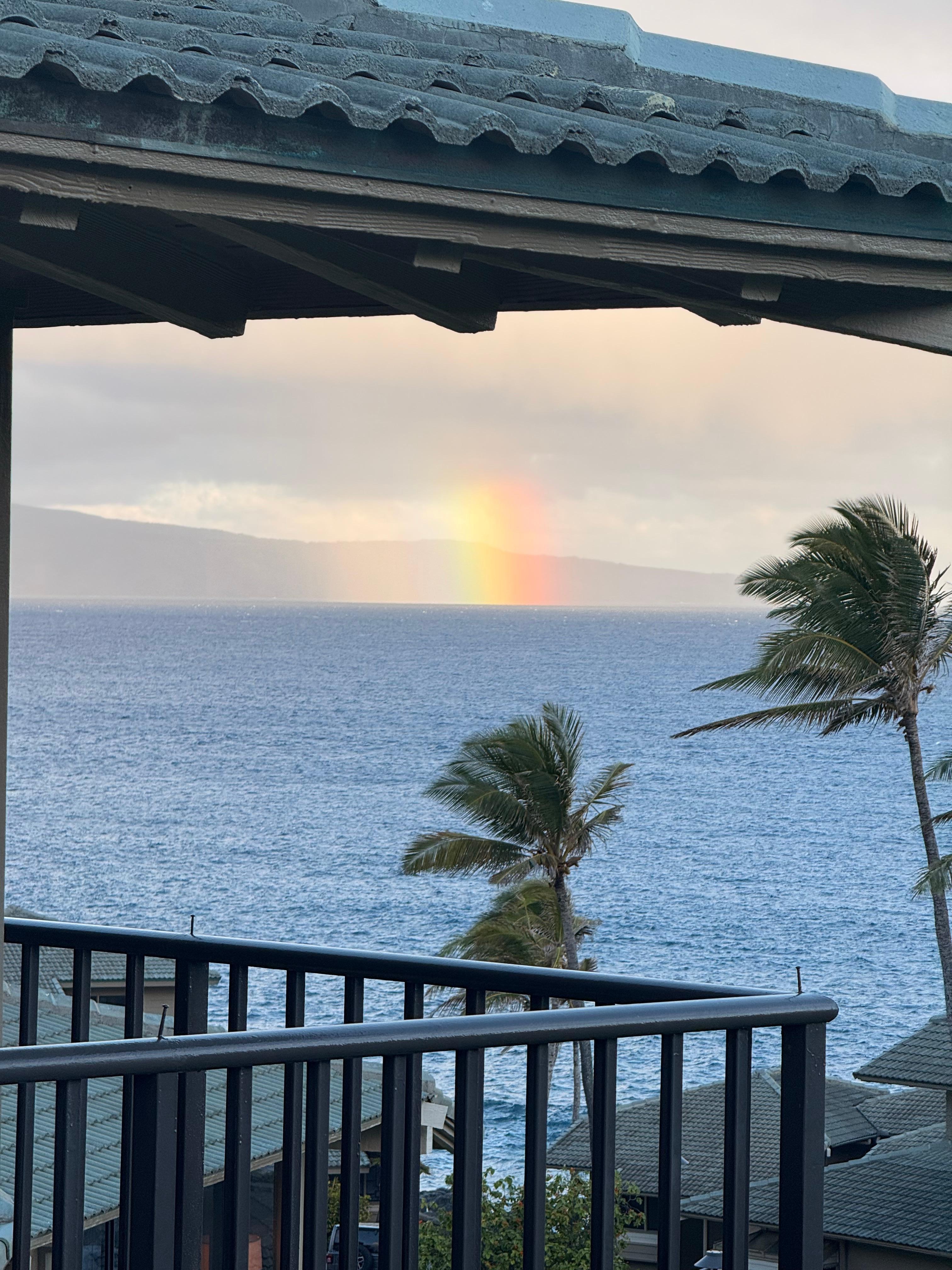 A beautiful rainbow from our balcony 