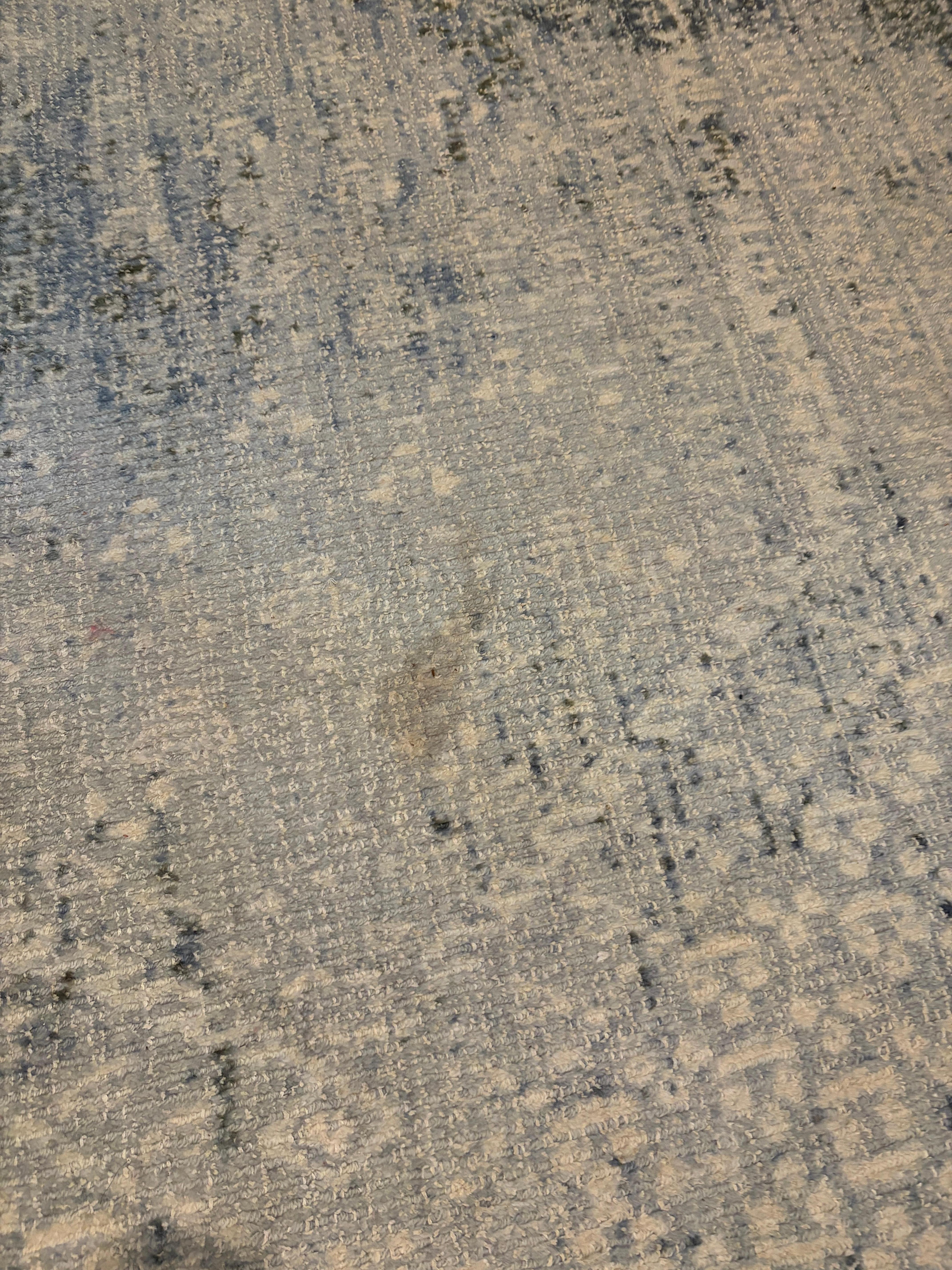 Carpet stain-master bedroom 