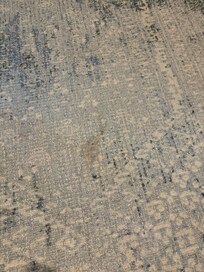 Carpet stain-master bedroom