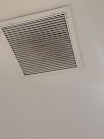 This is what the vent filters look like you could look up at the ceiling and see how dirty and disgusting they were