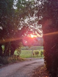 Spaziergang am Haus