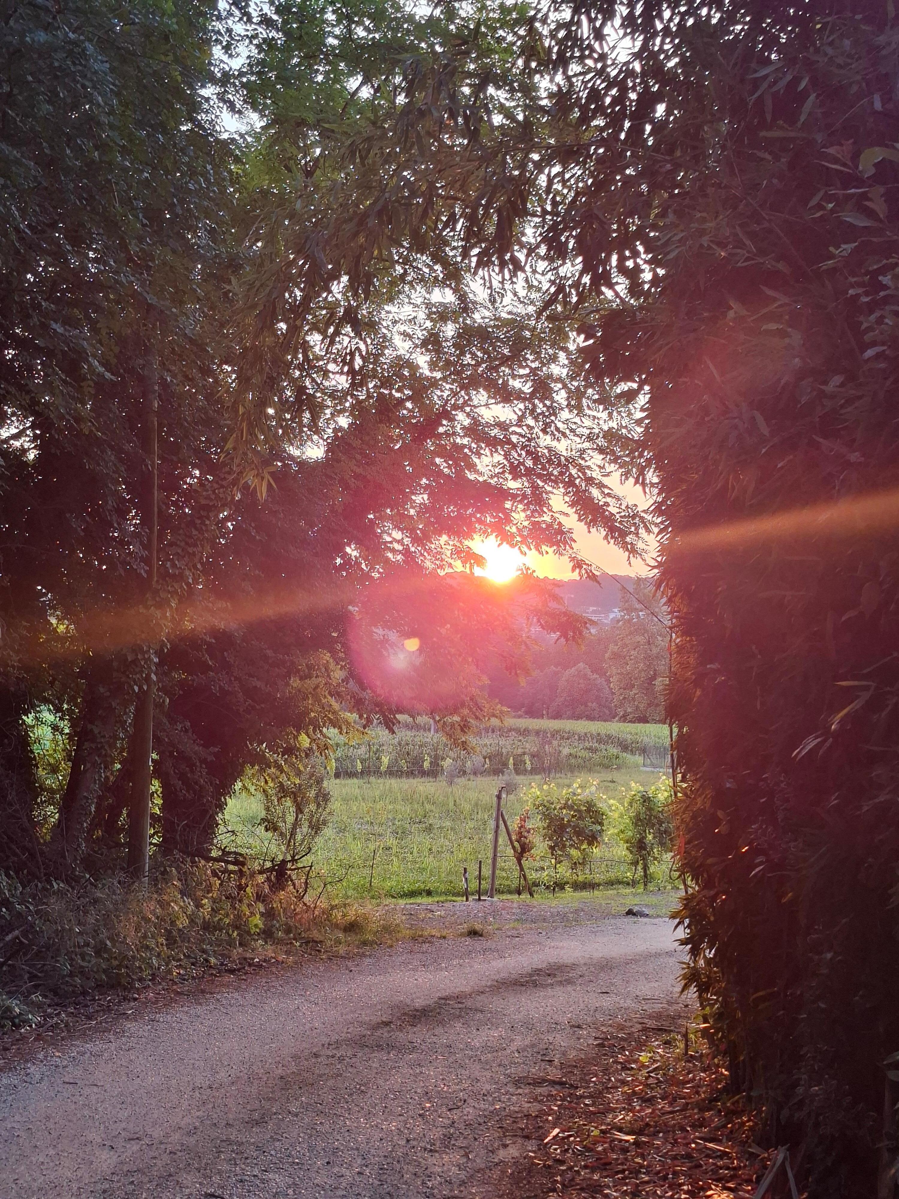 Spaziergang am Haus