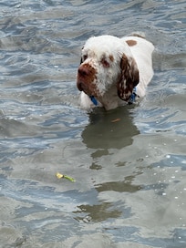 Finn just never wanted to come out of the water.