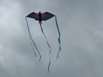 Kite flying weather
