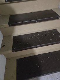 Dirt in stairwell