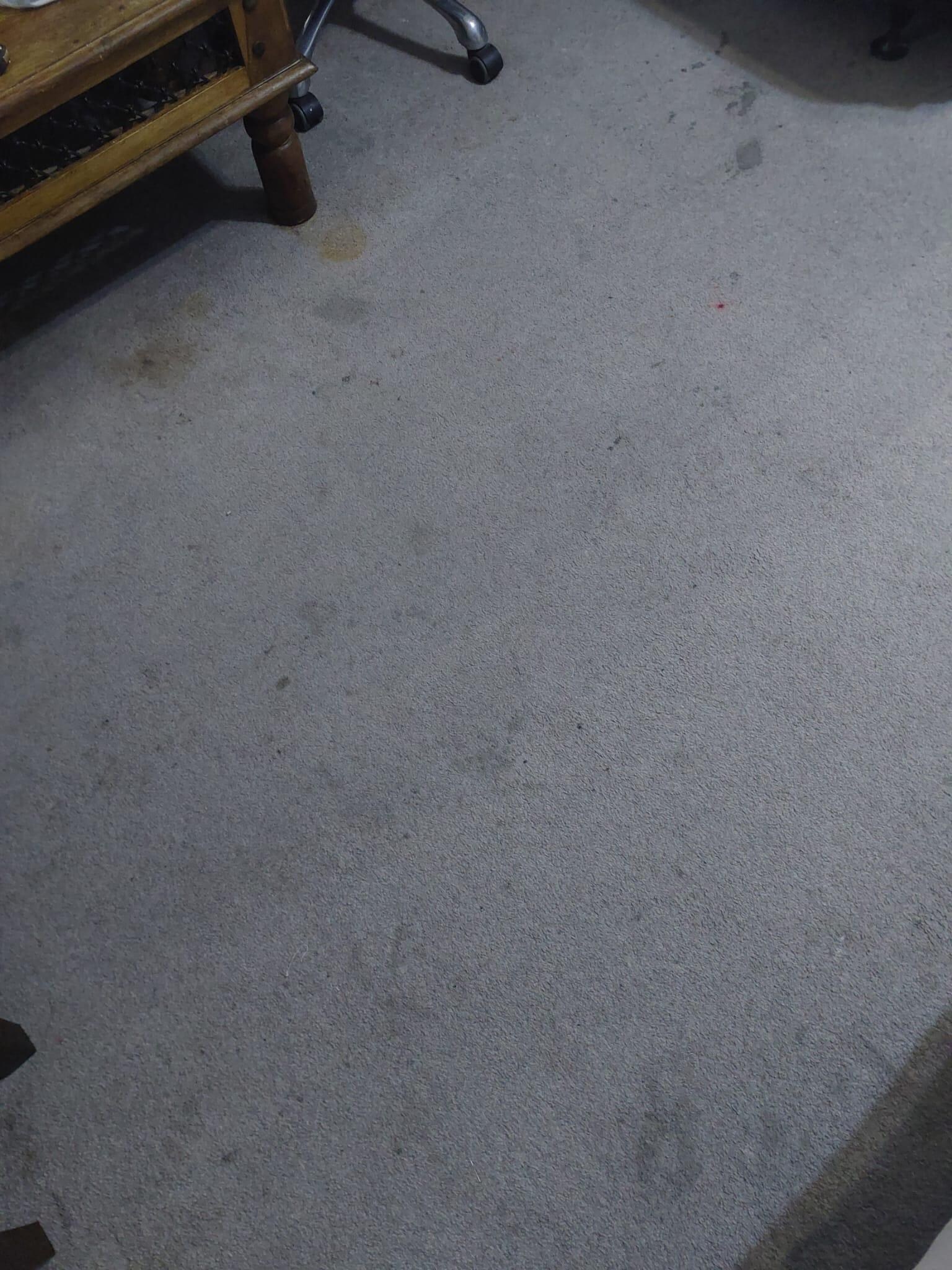 Stains all over floor
