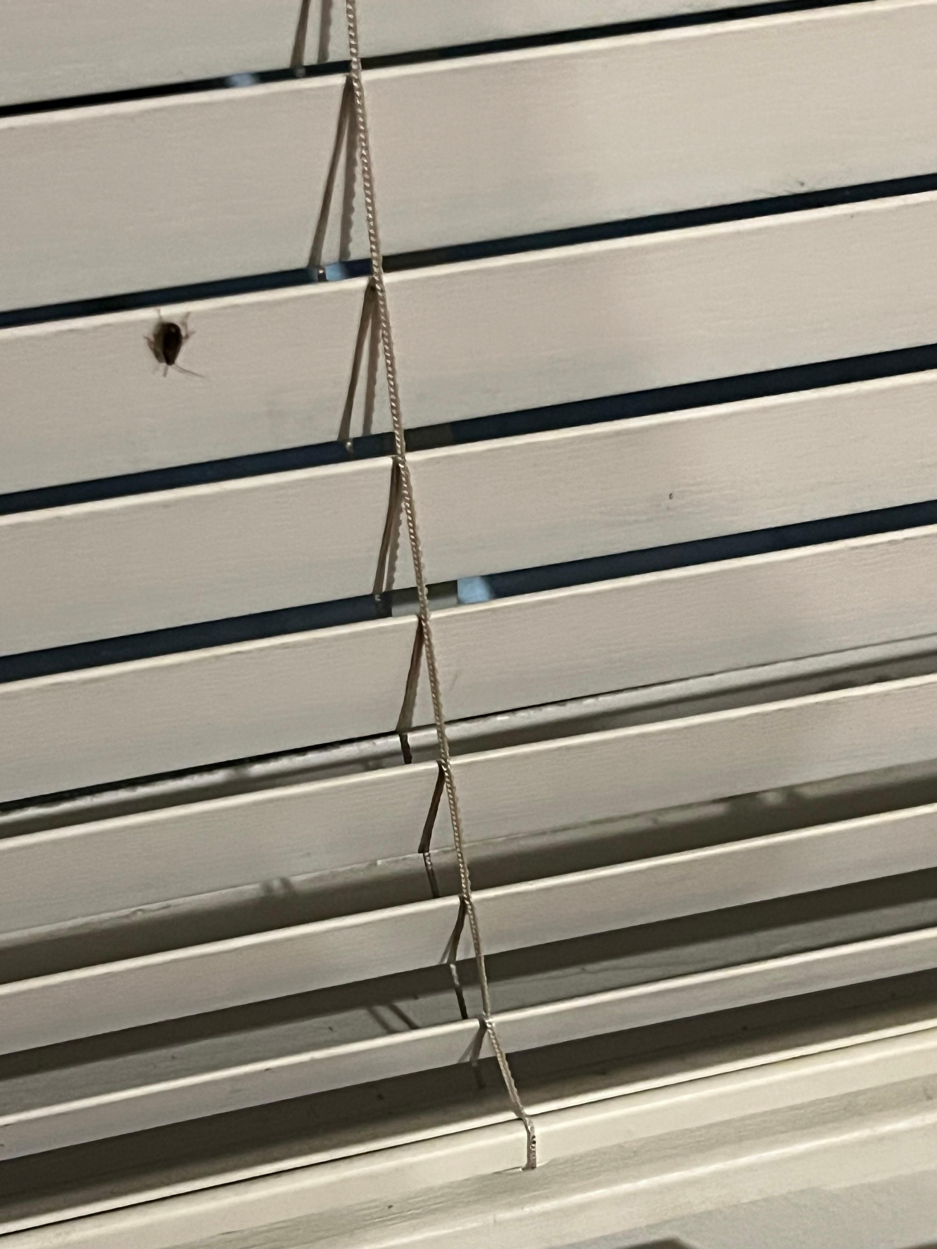 Greeted when I went to turn on AC.