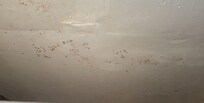 Mold on ceiling of downstairs shower