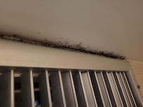 Mold