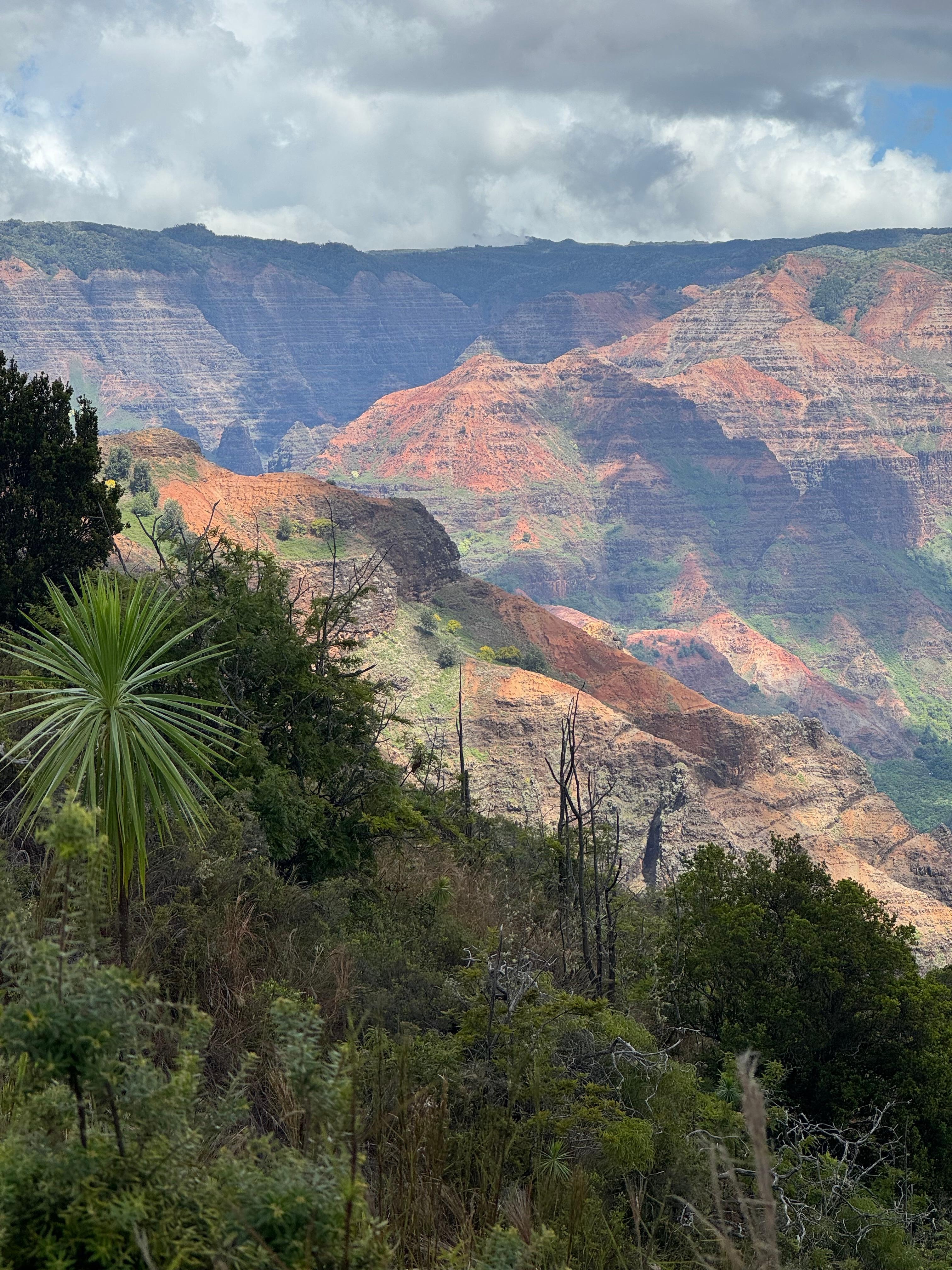 Waimea canyon