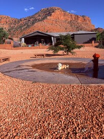 World Class Dog Park. Designed by Best Friends.