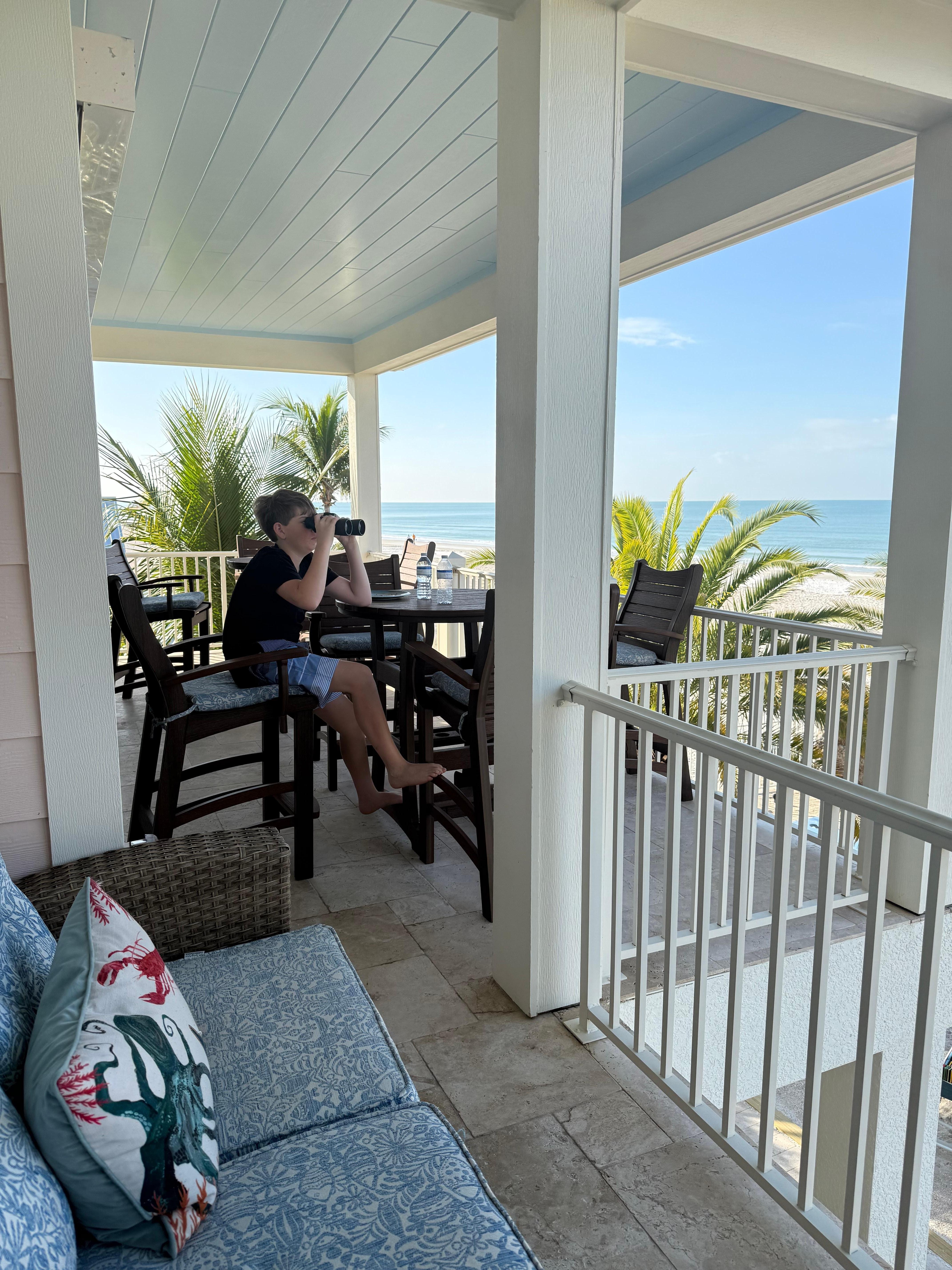 Balcony dolphine watching 