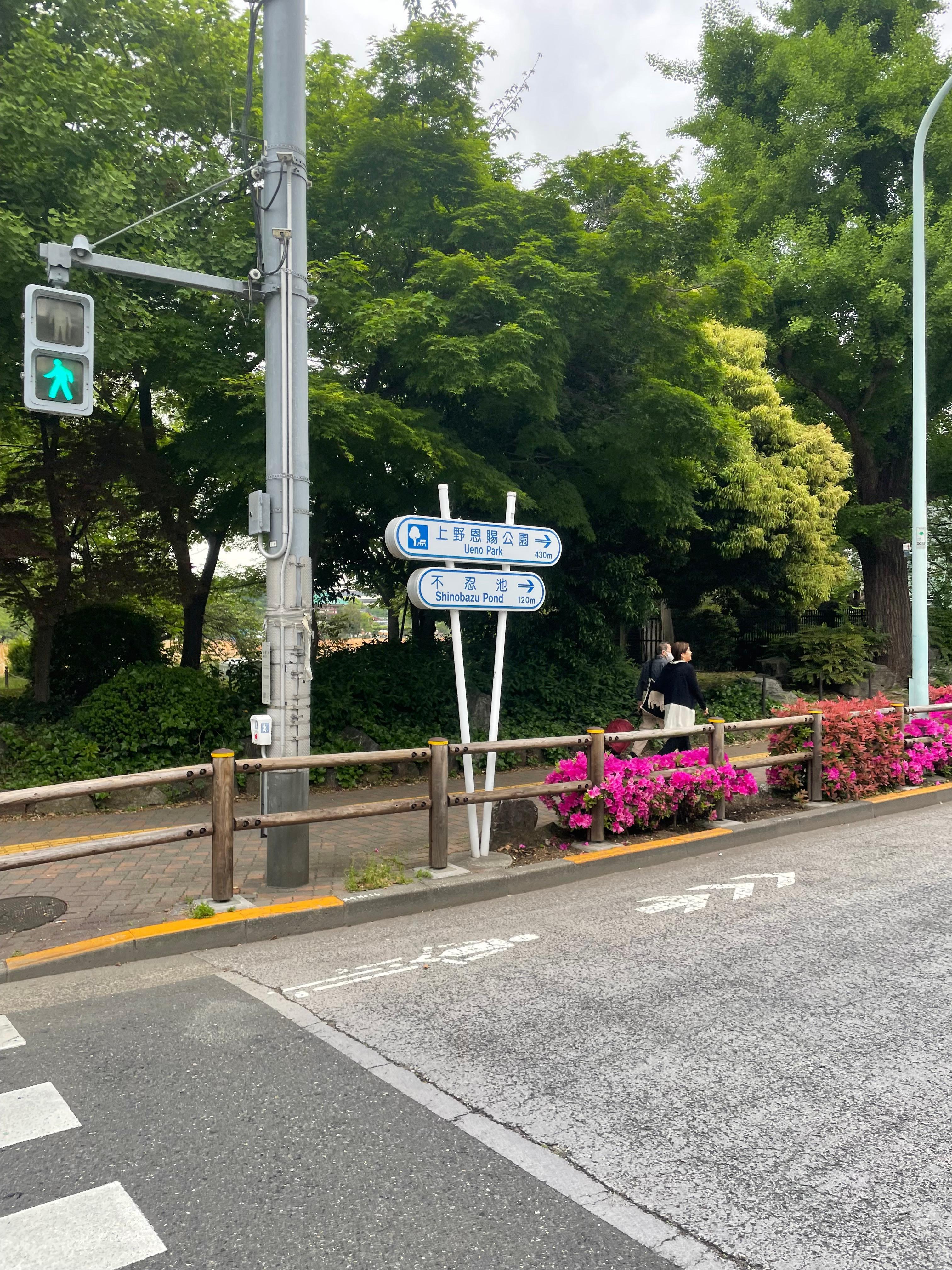 Ueno Park and Zoo across the street.
