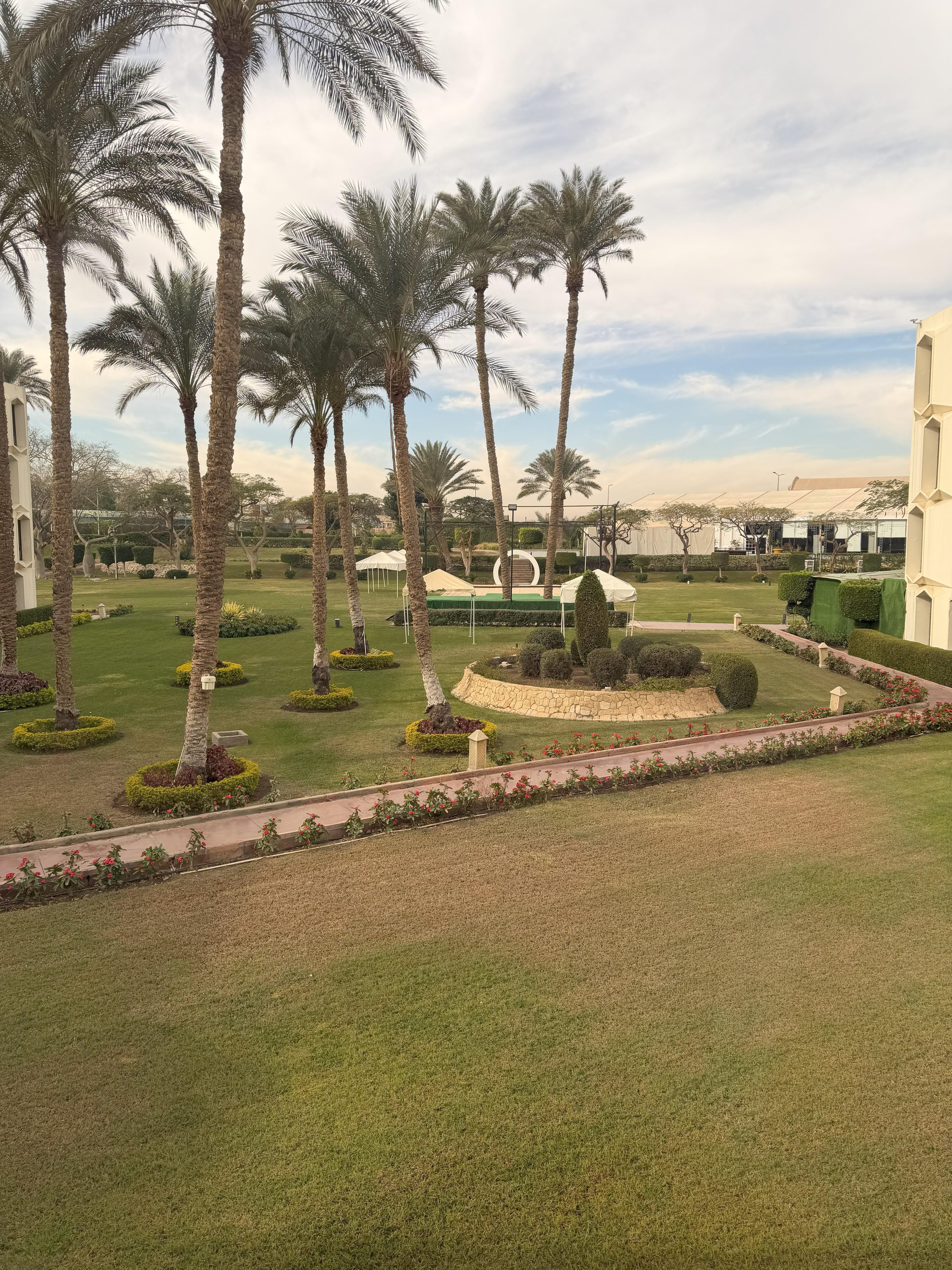 Garden view from my room