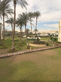 Garden view from my room