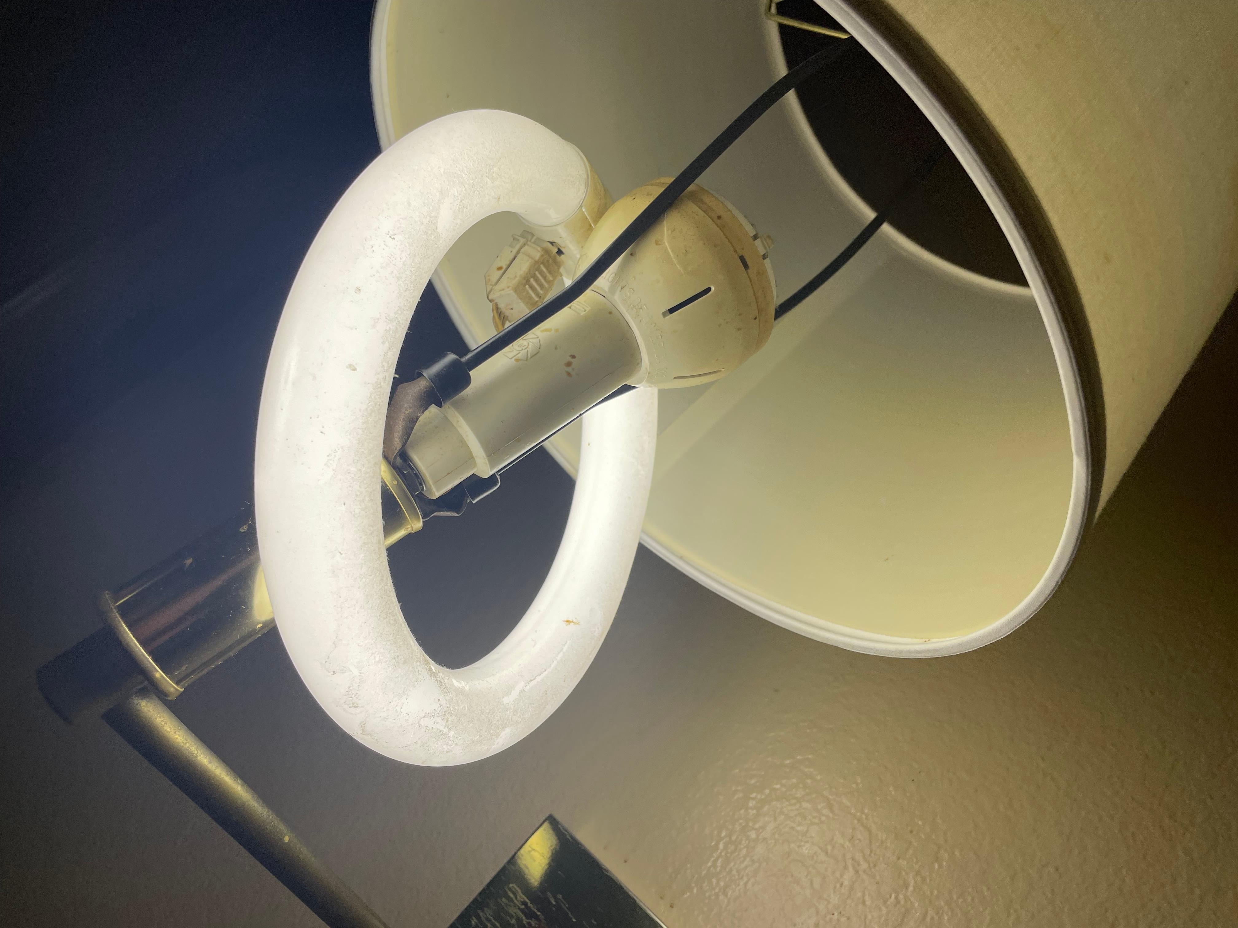 Bulb just hanging around