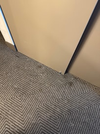 Stains on carpet.