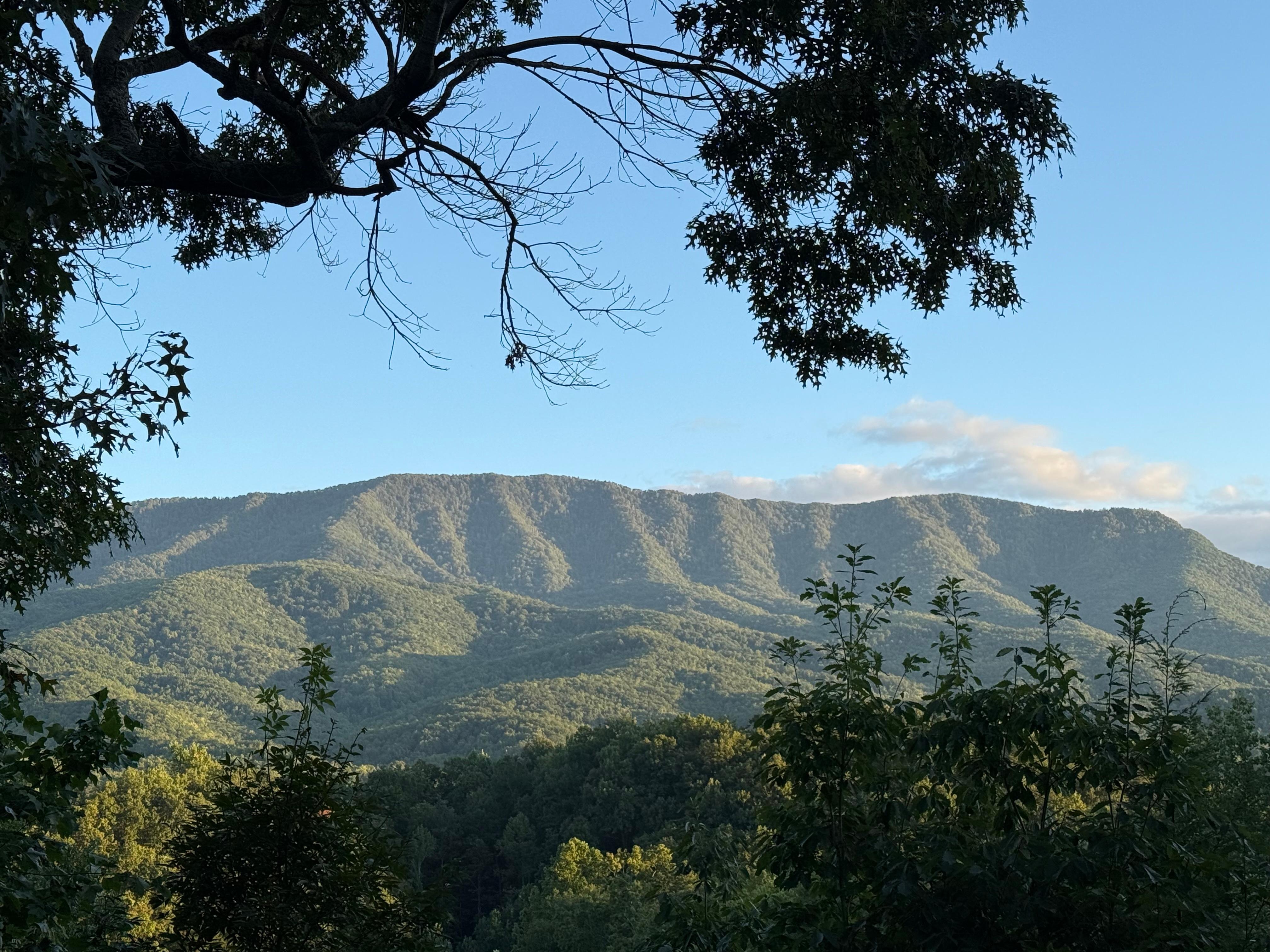 View from the upper deck. 