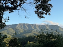 View from the upper deck.
