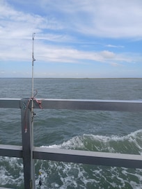 We always do fishing. Usually from the public pier in town. This time we did the High Roller.