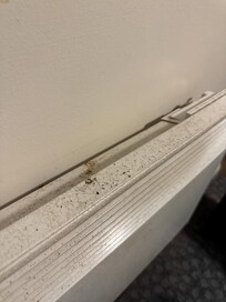 Radiator in room