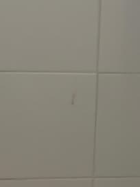 Dirty shower tiles