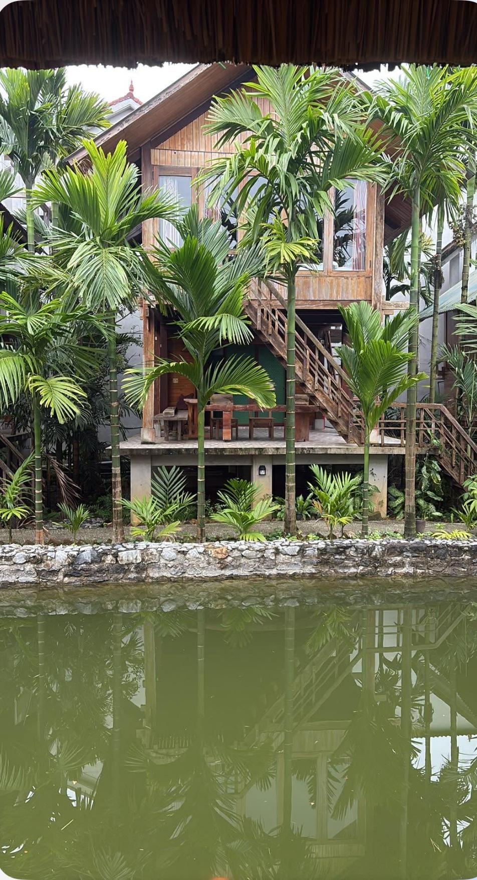 The comfy cozy cabins on stilts homestay.
