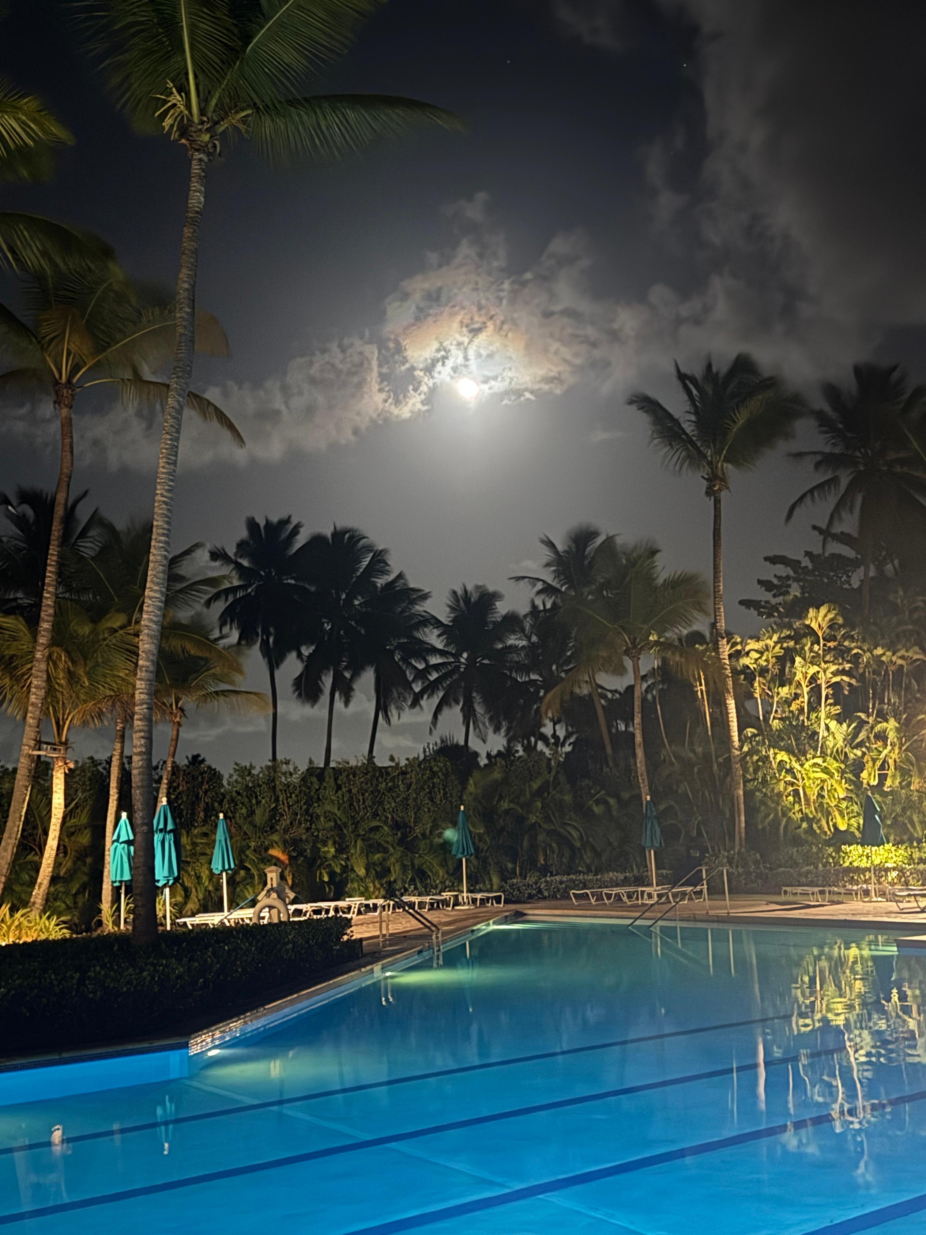 The moon light over looking the pool for the late night swims. 