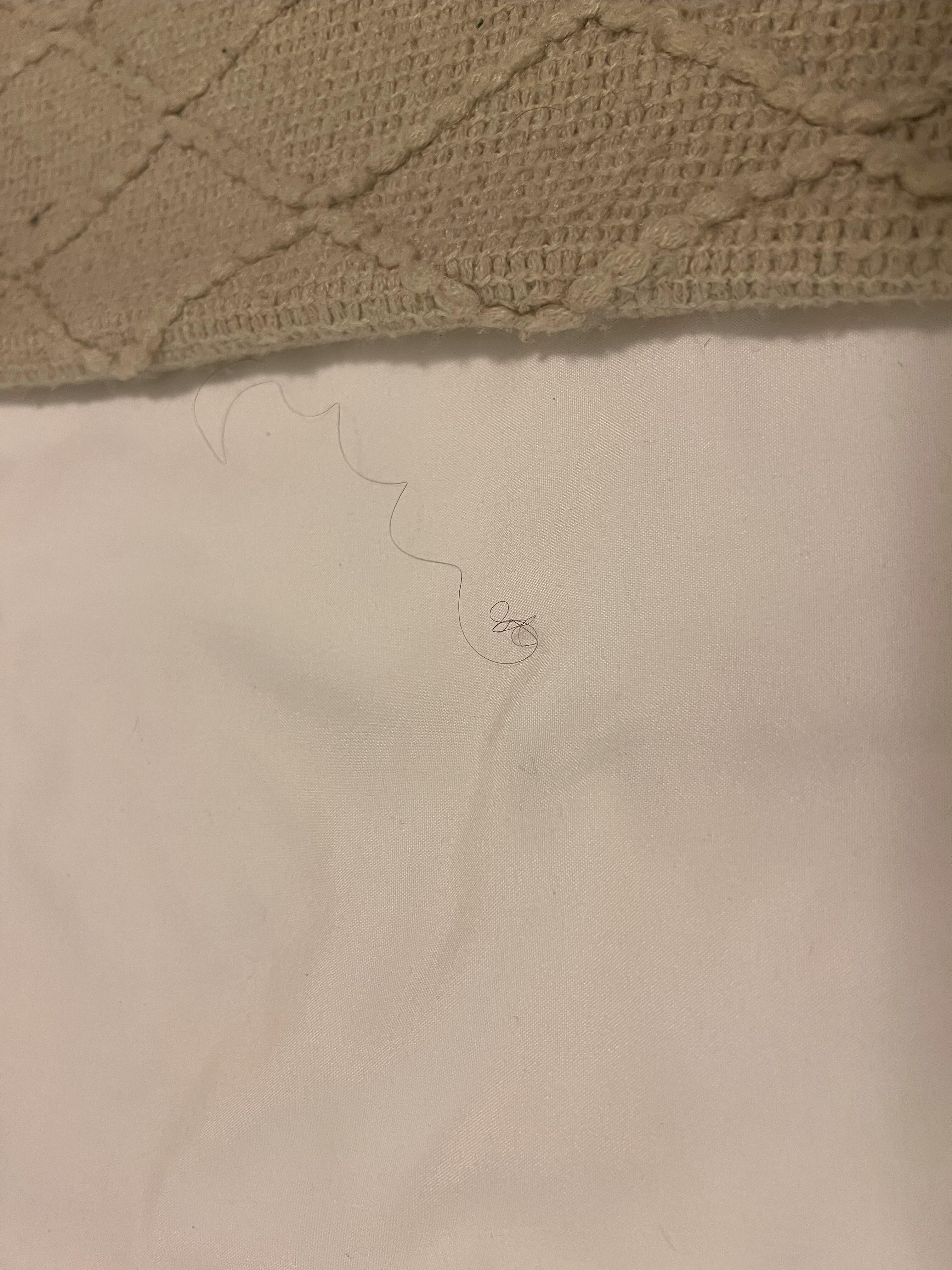 Hair in another bed
