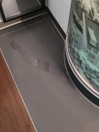 You stand clogged shower booth and water leaks out close to the bed.