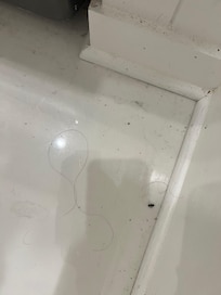 Crawling bugs