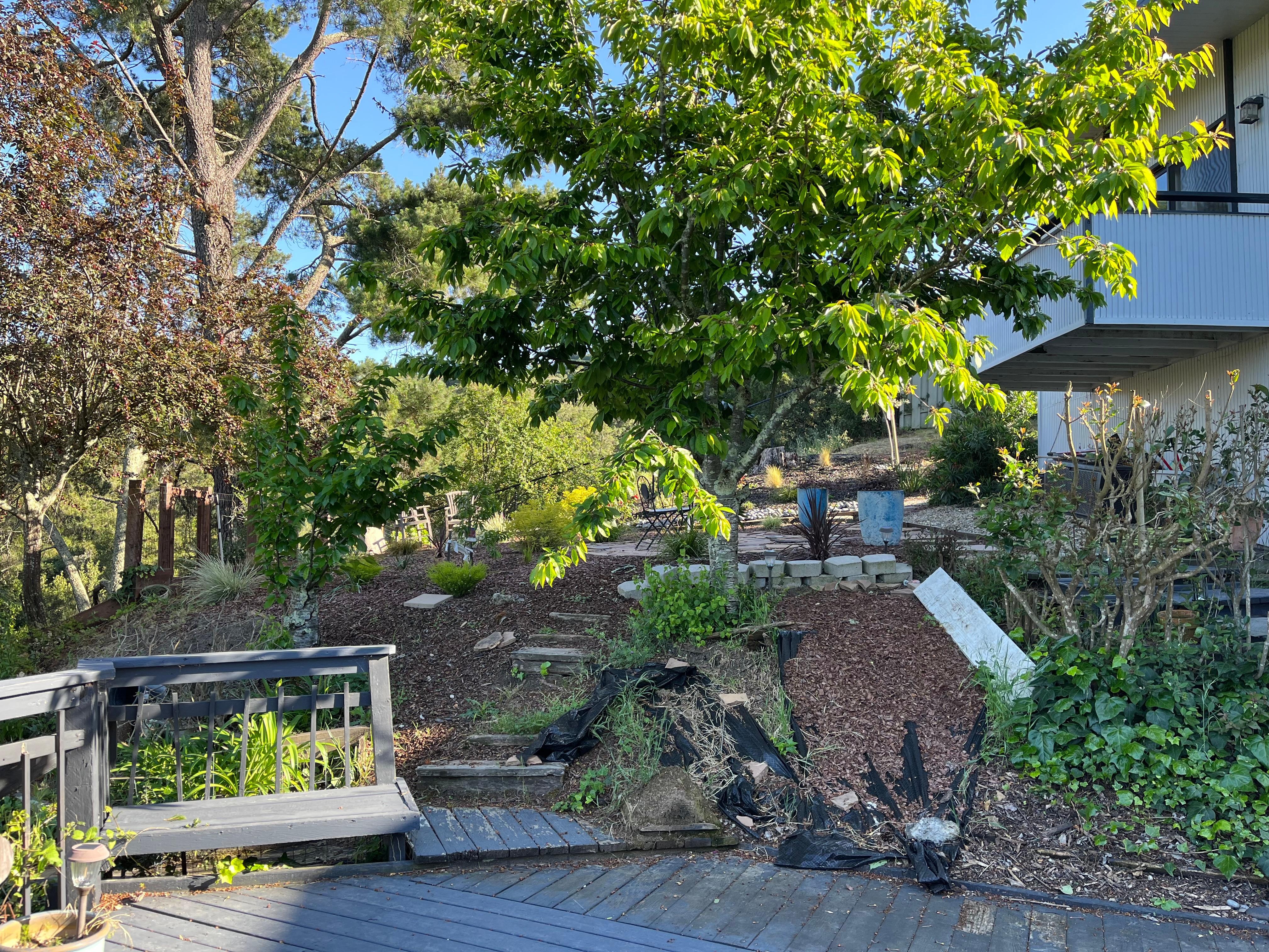 Secret garden from back deck