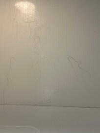 Hair in the shower